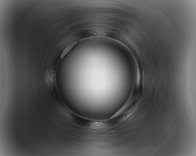 X0000089380141200706151211