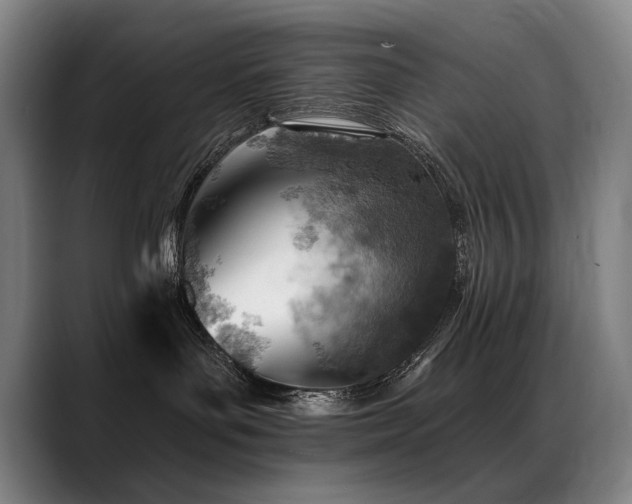 X0000089380143200706151211