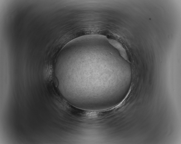 X0000089380144200706151211