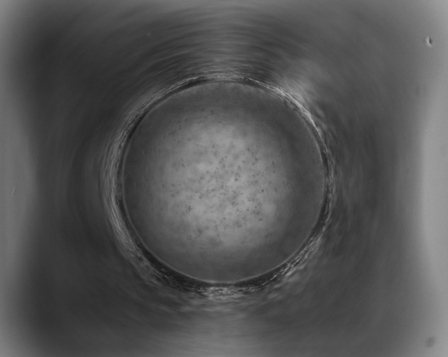 X0000089380145200706151210