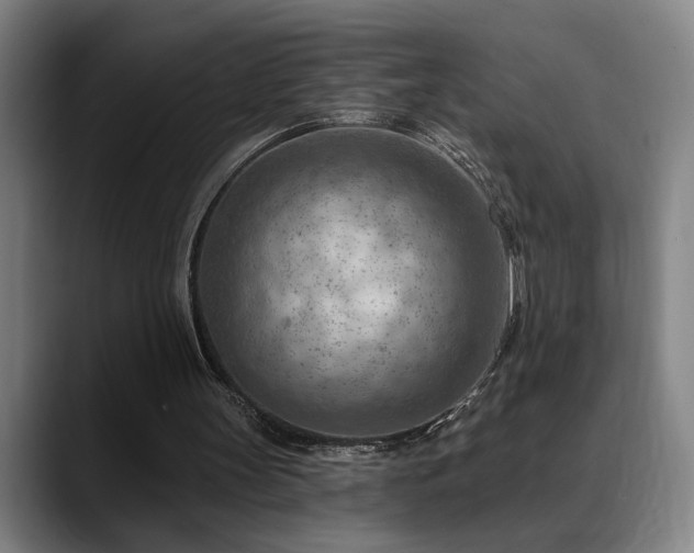 X0000089380147200706151210