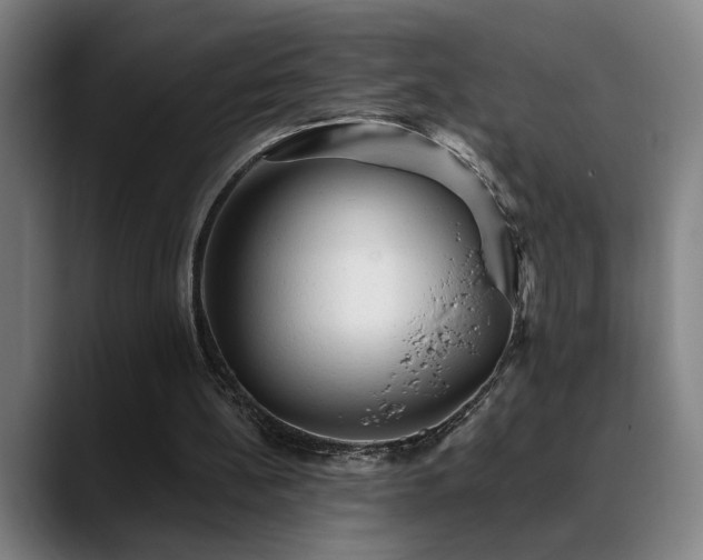 X0000089380148200706151210