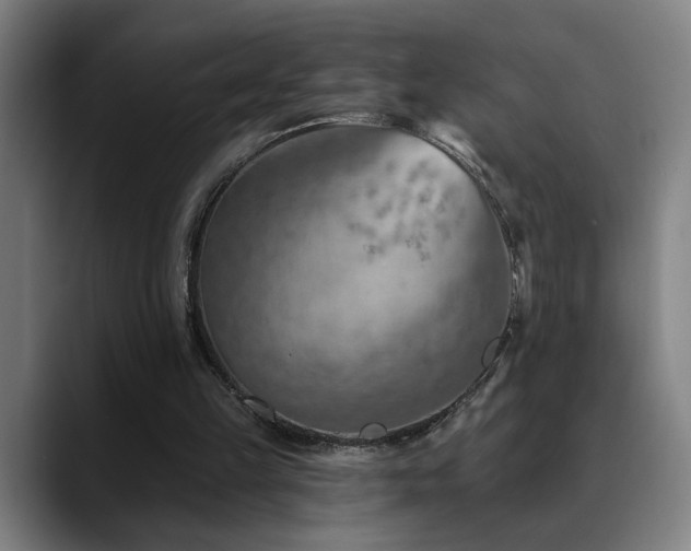 X0000089380149200706151210