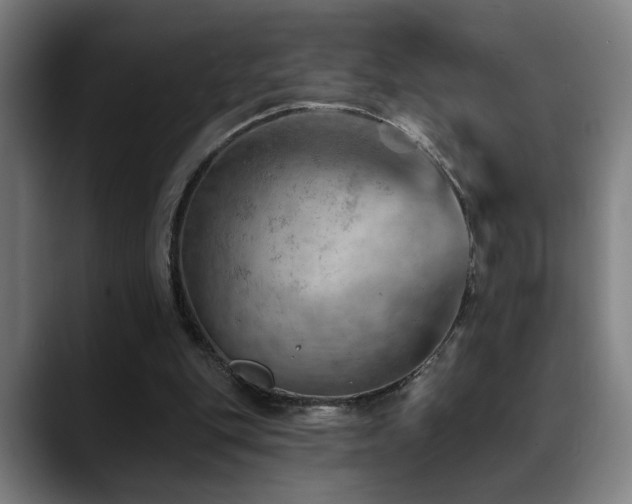 X0000089380151200706151210