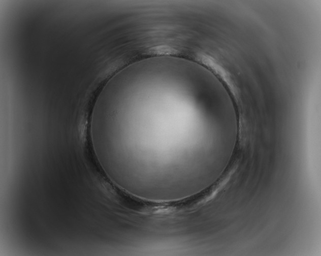 X0000089380153200706151210