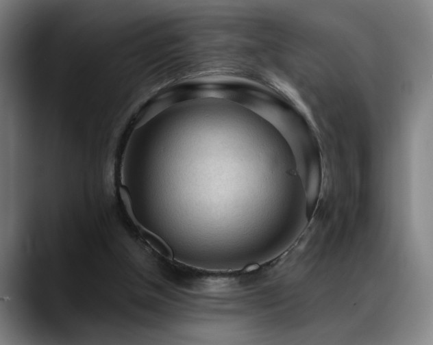 X0000089380154200706151210