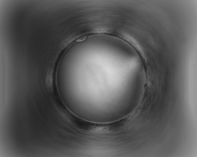 X0000089380155200706151210