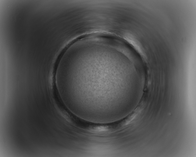 X0000089380156200706151210