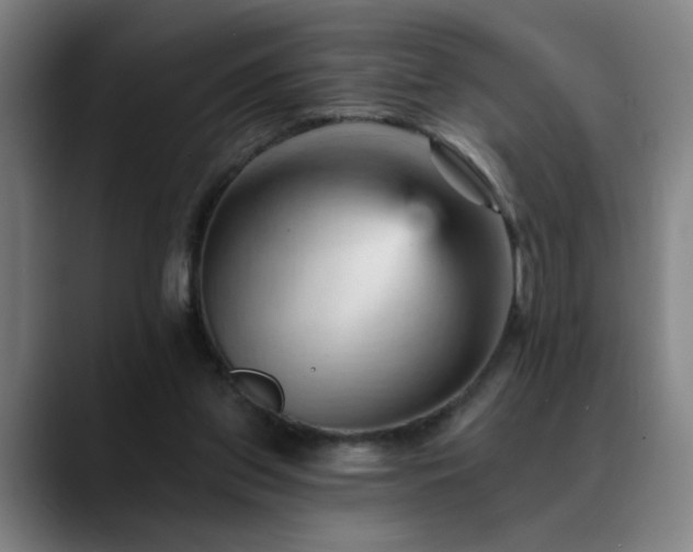 X0000089380157200706151210