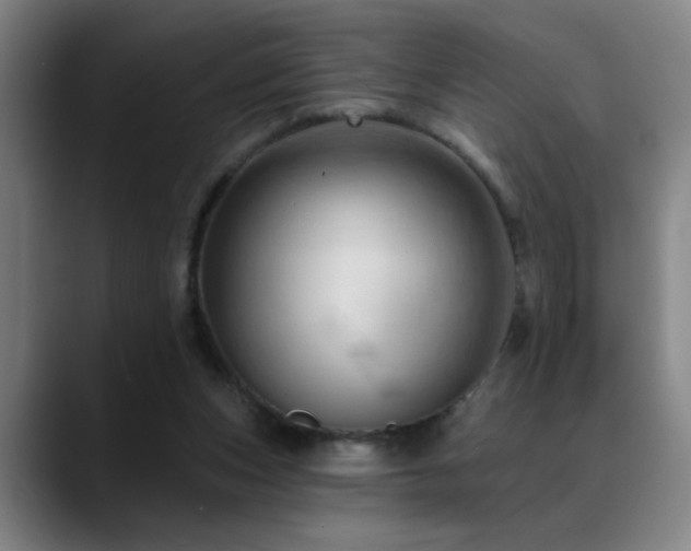 X0000089380159200706151210