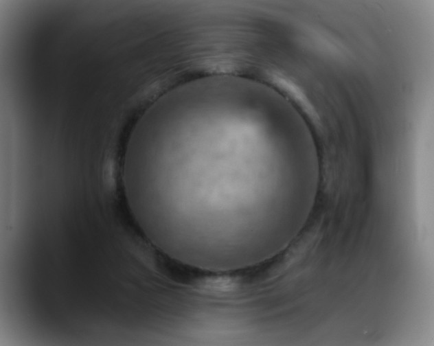 X0000089380161200706151210