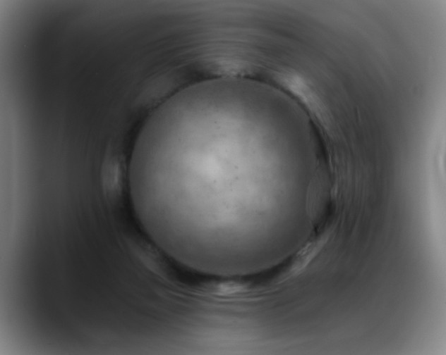 X0000089380165200706151210