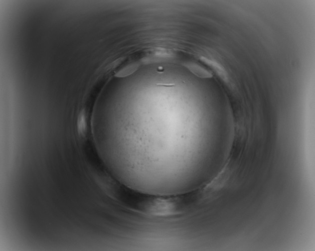 X0000089380166200706151210