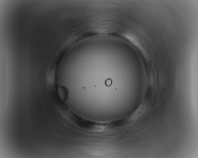 X0000089380167200706151210