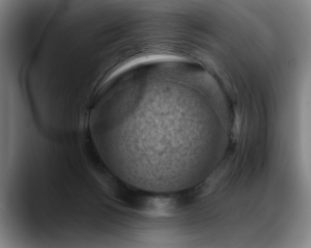 X0000089380168200706151210