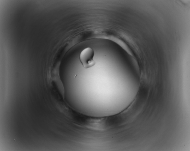 X0000089380170200706151211