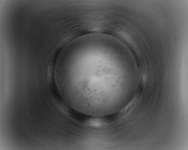 X0000089380171200706151211