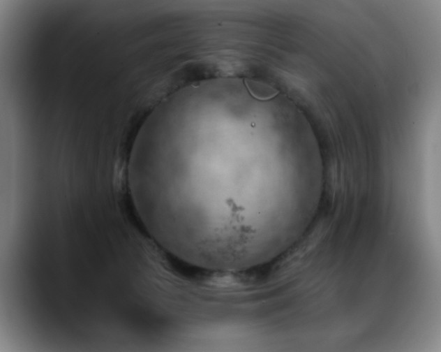 X0000089380177200706151211