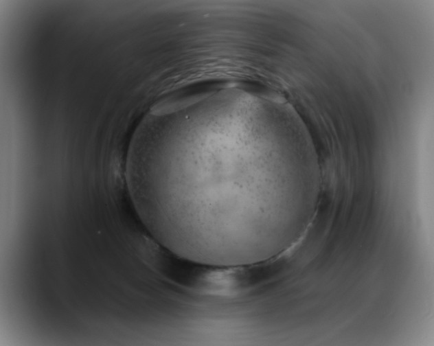 X0000089380178200706151211