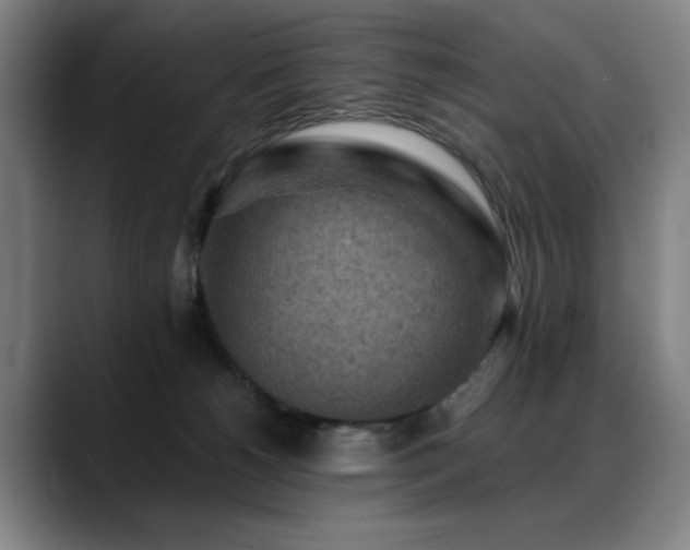 X0000089380180200706151211
