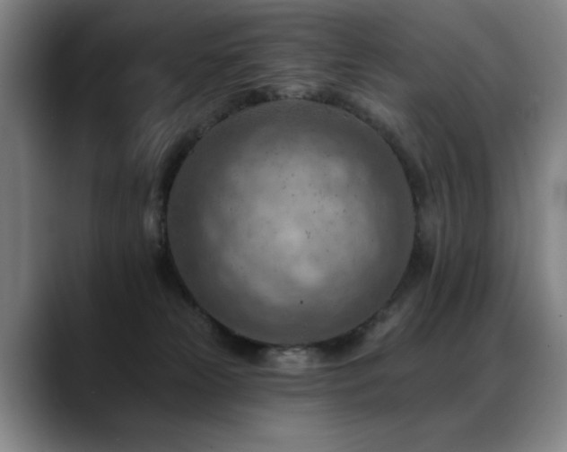 X0000089380181200706151211
