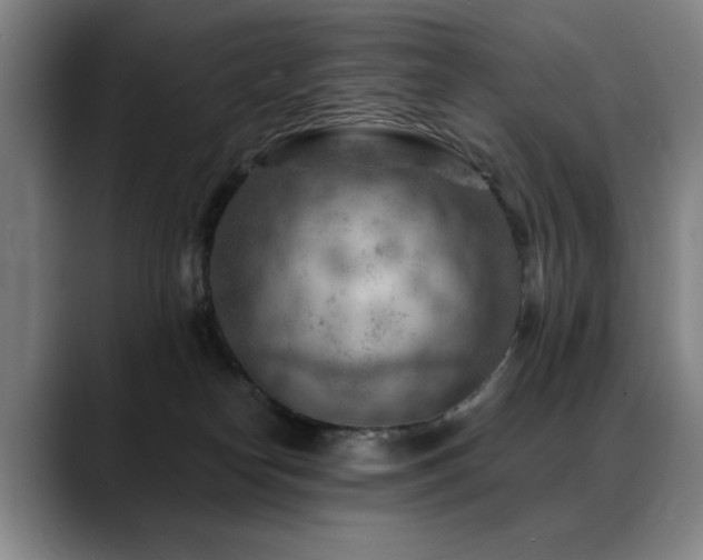 X0000089380182200706151211
