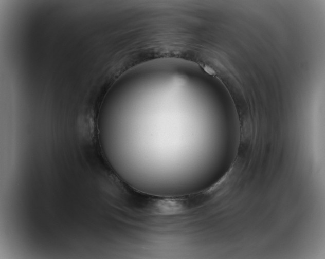 X0000089380183200706151211
