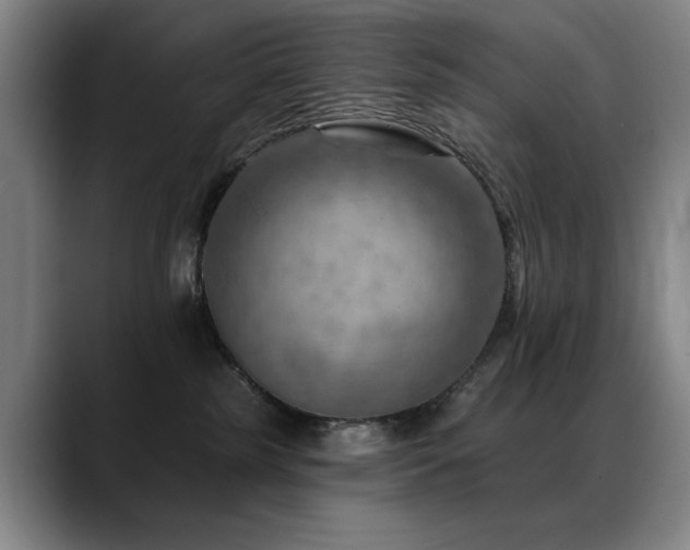 X0000089380185200706151211