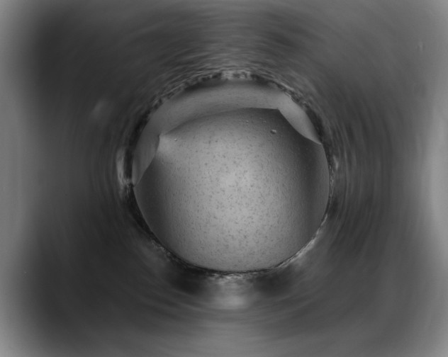 X0000089380186200706151211