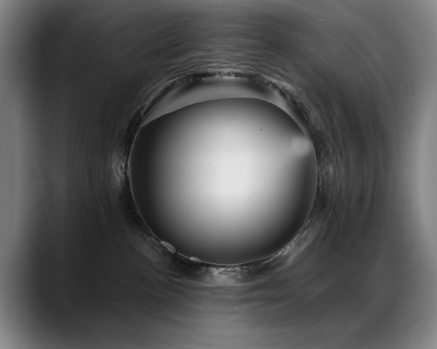 X0000089380188200706151211