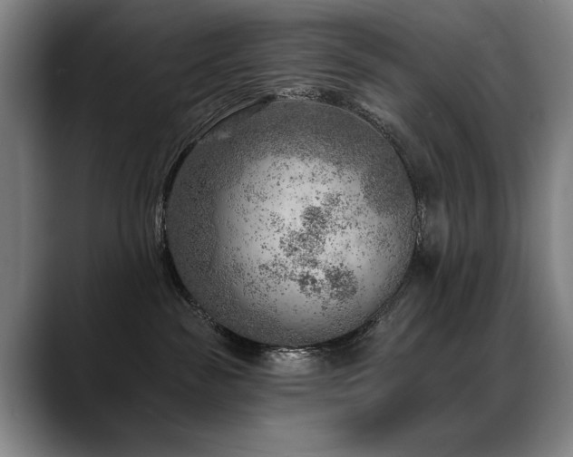 X0000089380189200706151211