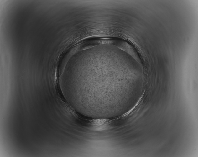 X0000089380192200706151211