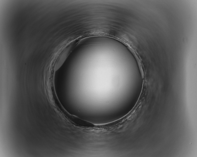 X0000089380193200706151210