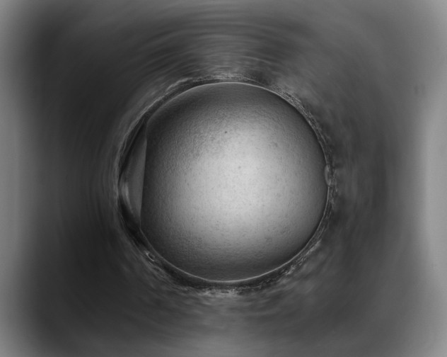 X0000089380194200706151210
