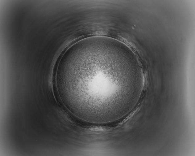X0000089380195200706151210