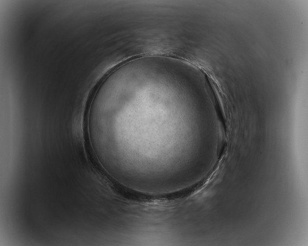 X0000089380196200706151210