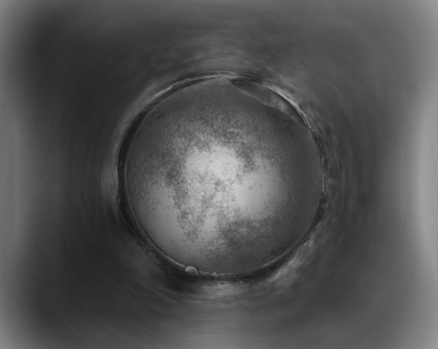 X0000089380198200706151210