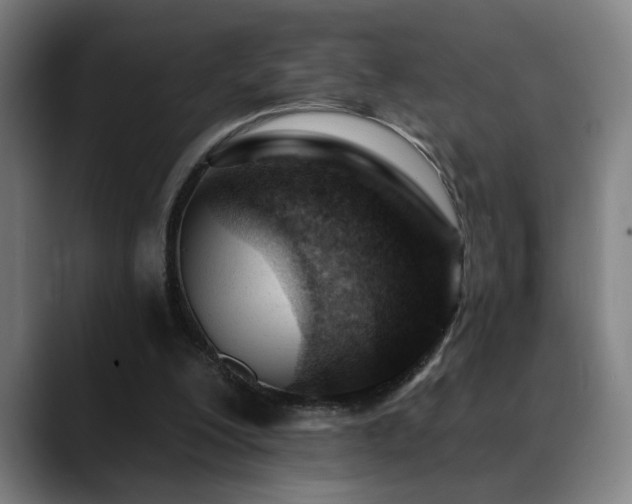 X0000089380200200706151210