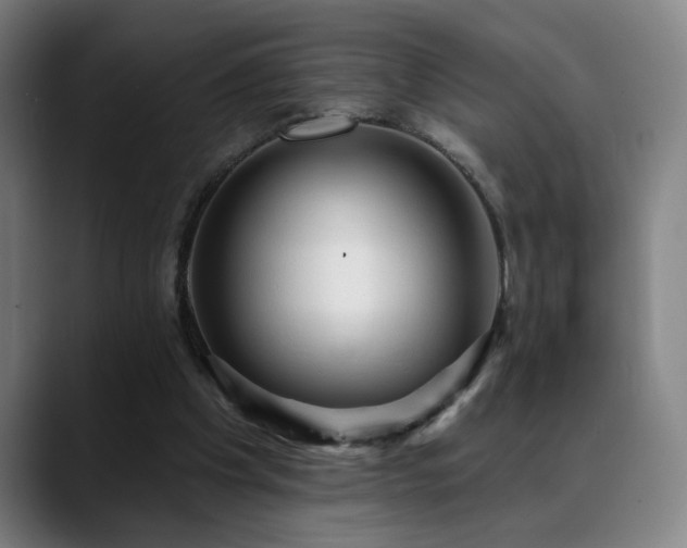 X0000089380201200706151210