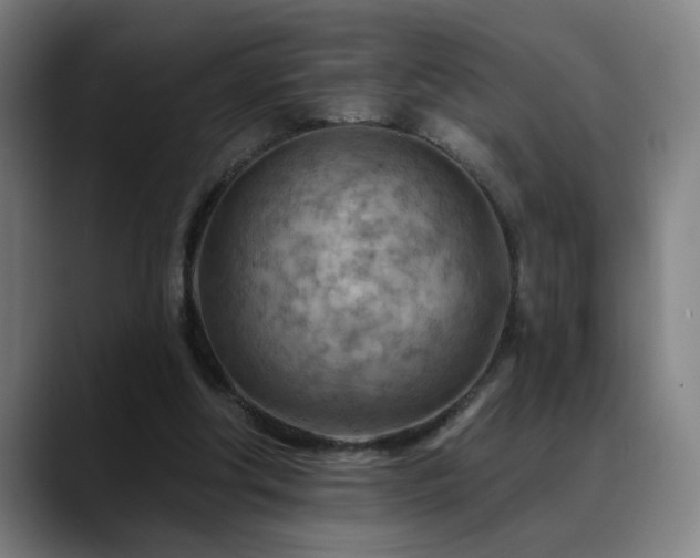 X0000089380202200706151210