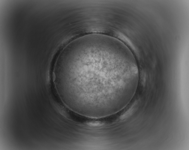 X0000089380203200706151210