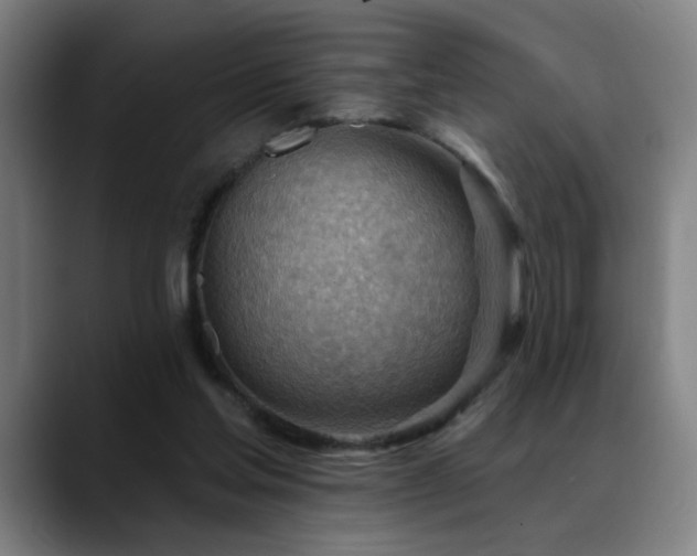 X0000089380205200706151210