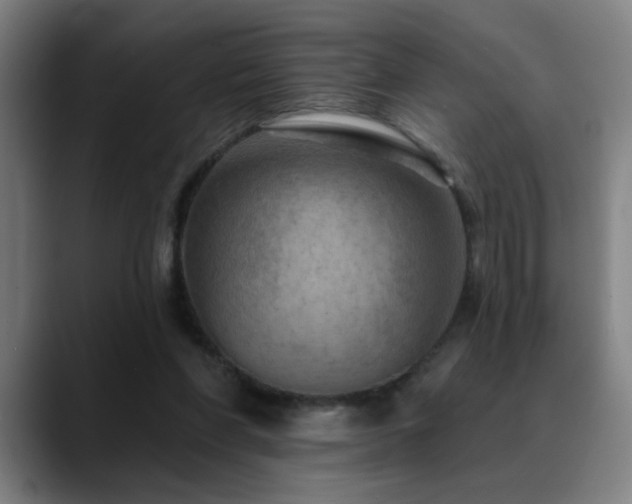 X0000089380206200706151210