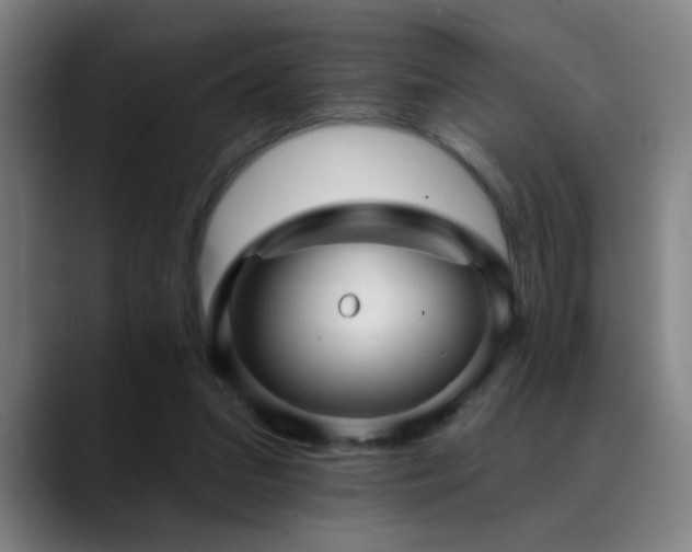 X0000089380207200706151210