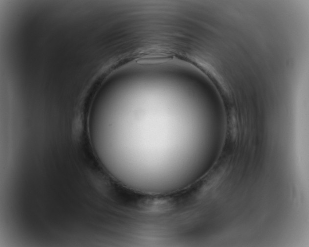 X0000089380208200706151210