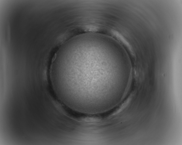 X0000089380209200706151210