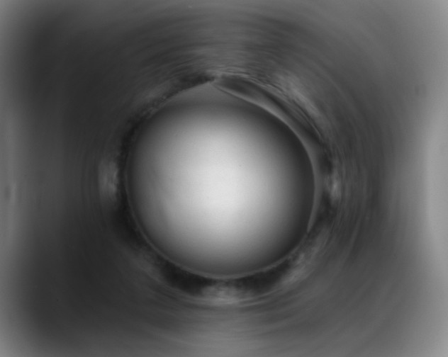 X0000089380211200706151210