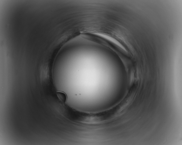 X0000089380212200706151210