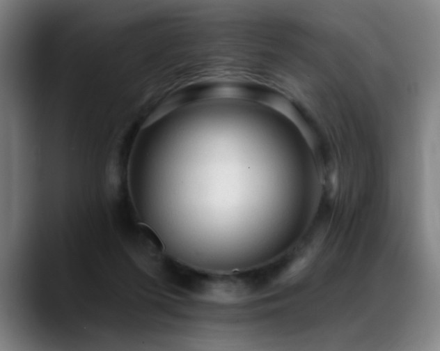 X0000089380215200706151210