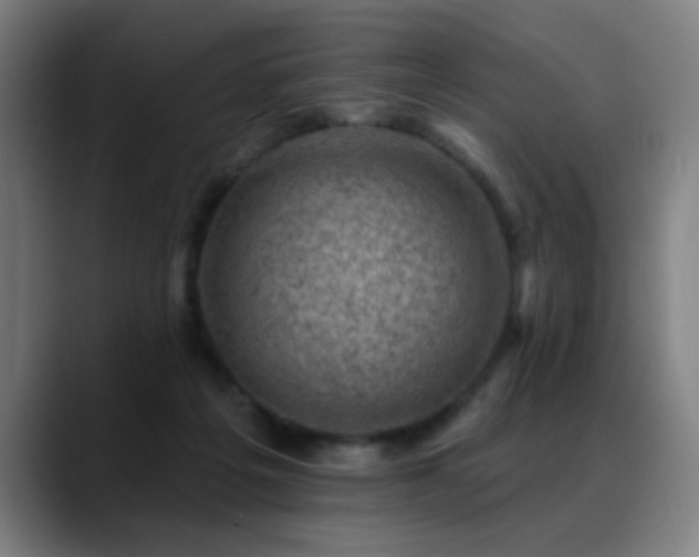 X0000089380217200706151210